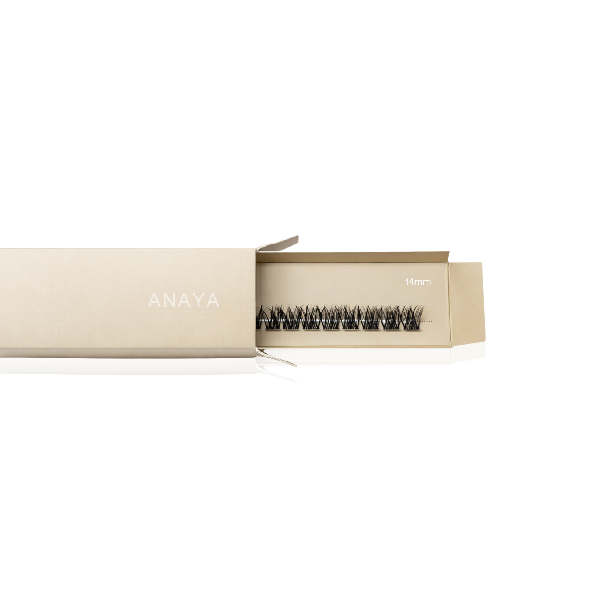 Anaya Fast Lashes